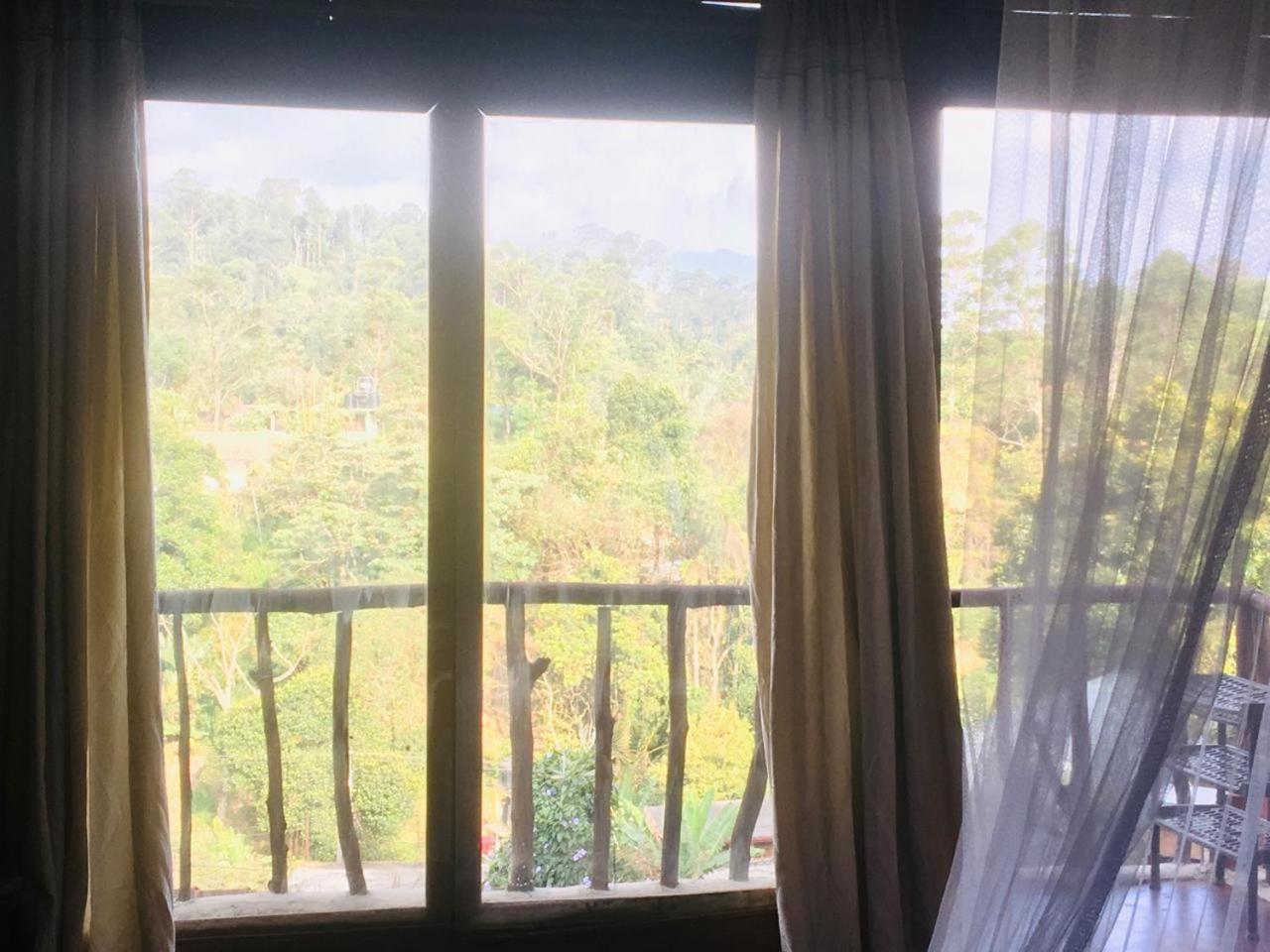 Ella City Reach Hostel Phòng bức ảnh
